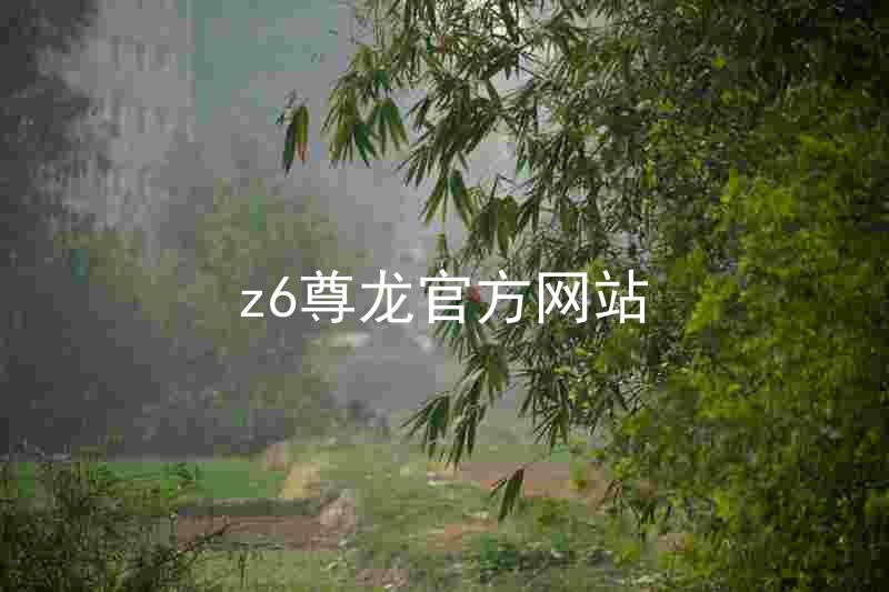 z6尊龙官方网站
