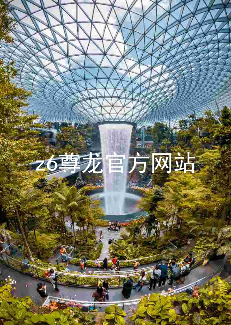 z6尊龙官方网站