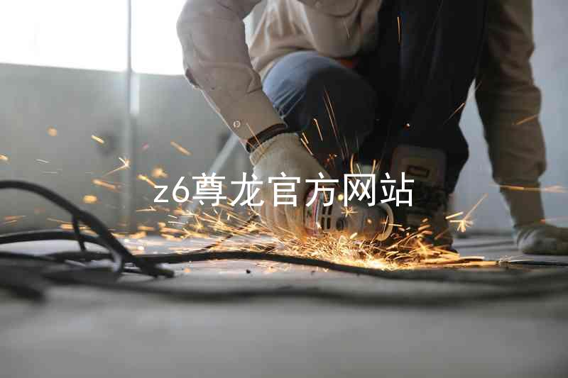 z6尊龙官方网站