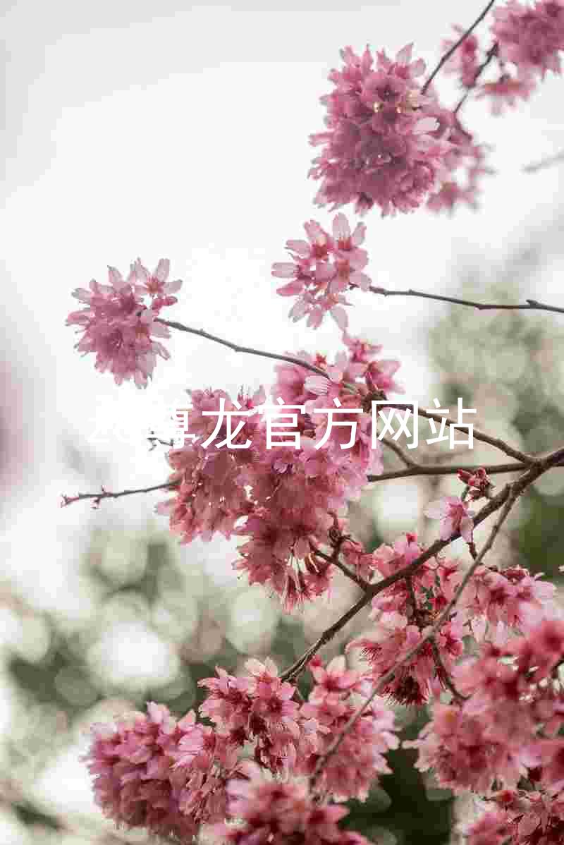 z6尊龙官方网站